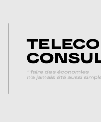 Telecom Consulting